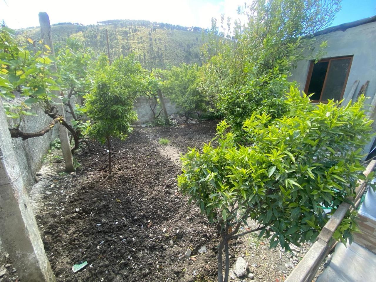 Guesthouse Seli Berat Exterior foto