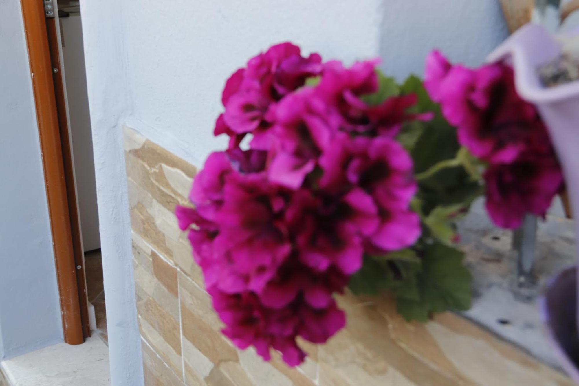 Guesthouse Seli Berat Exterior foto