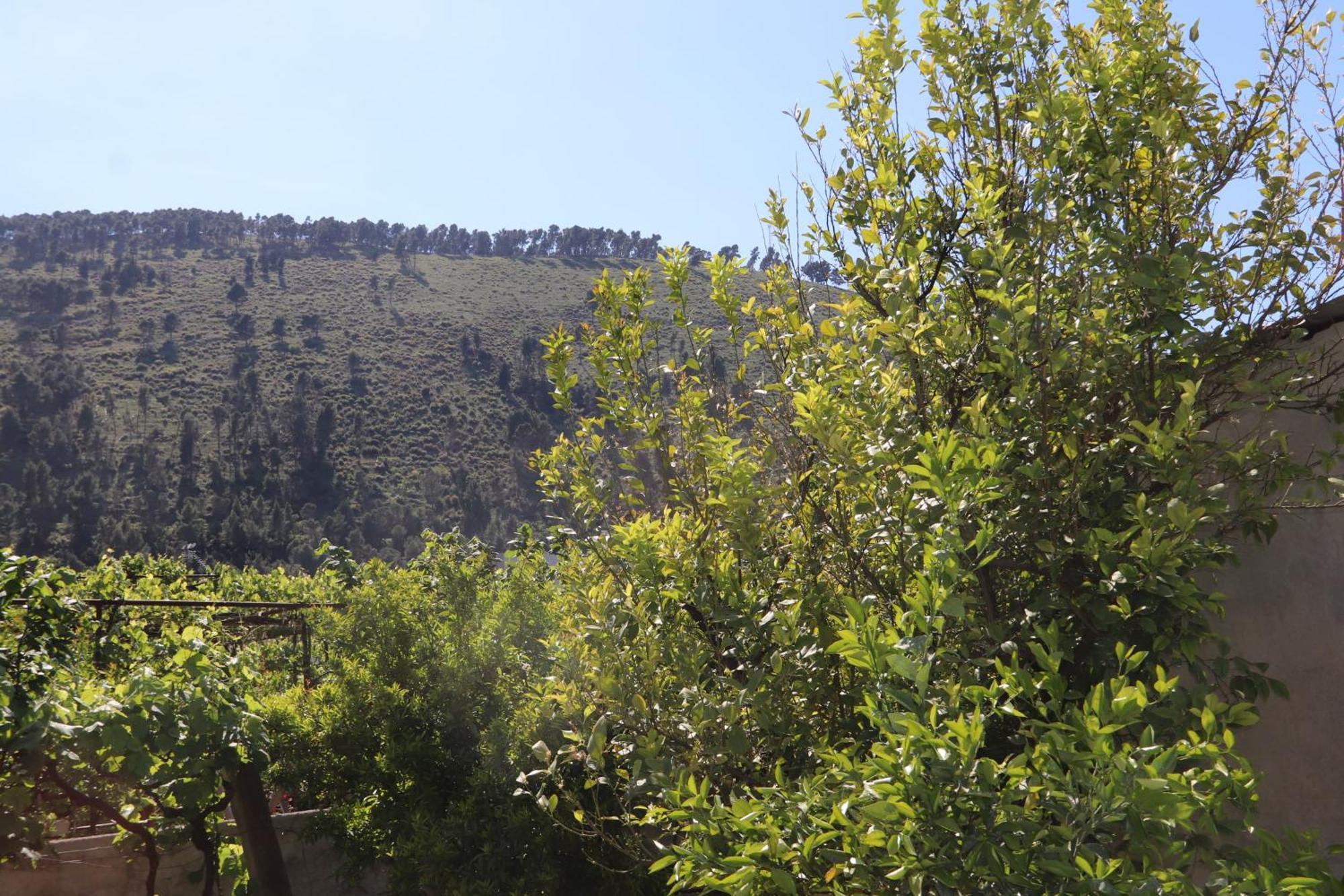 Guesthouse Seli Berat Exterior foto