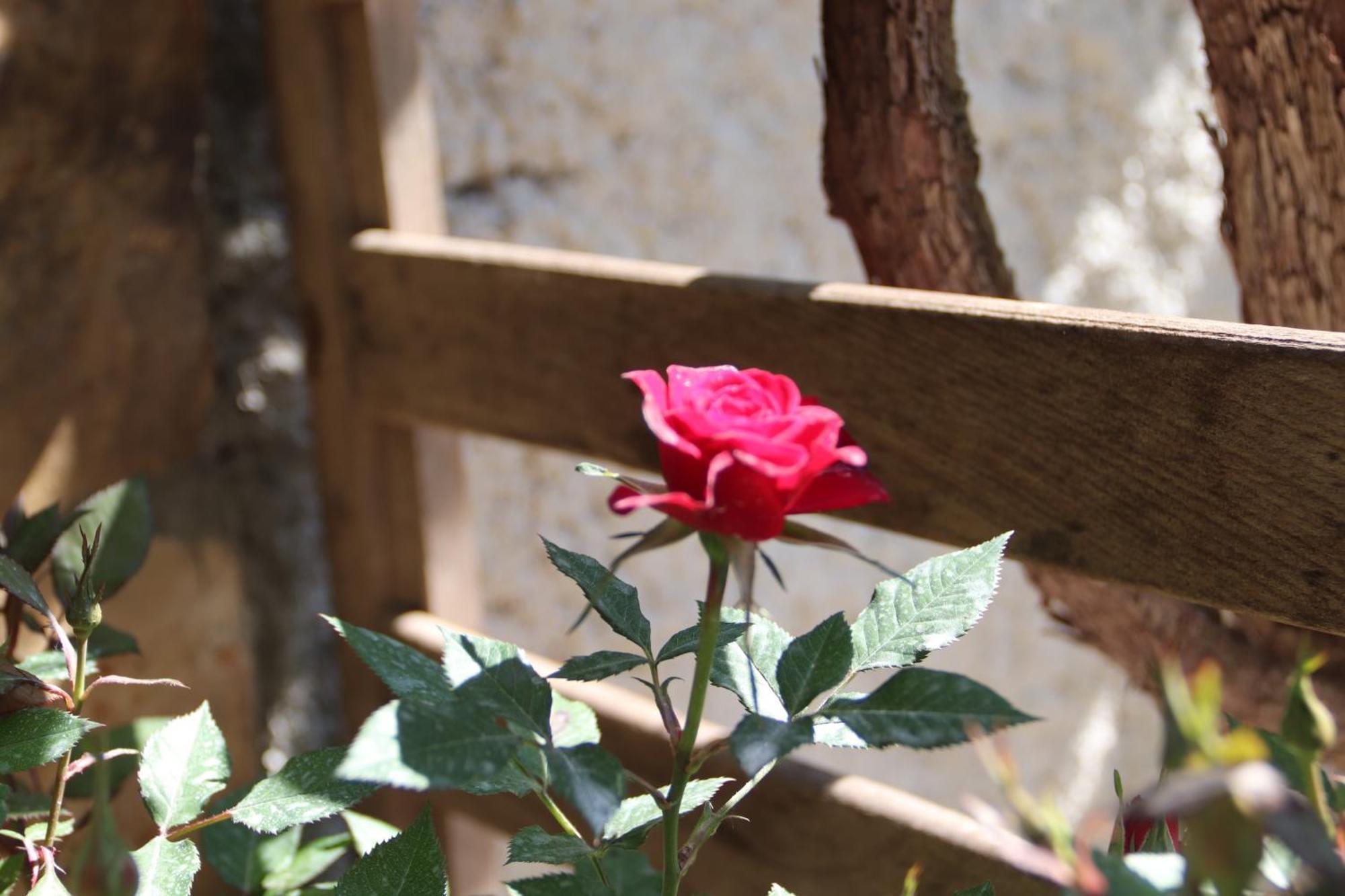 Guesthouse Seli Berat Exterior foto